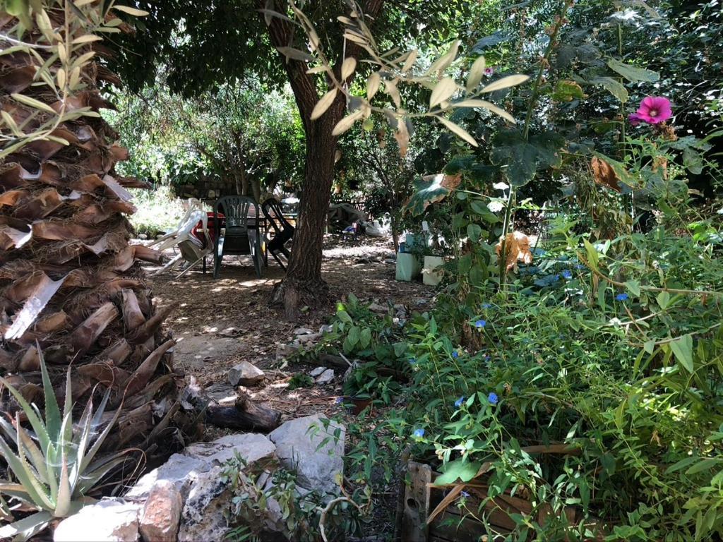 דירות ירושלים דירת אבן עם חדר שינה אחד מראה חיצוני תמונה